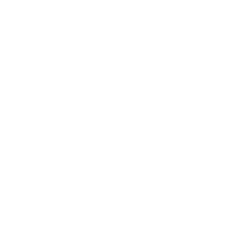 Electrical Muscle Stimulation (EMS)